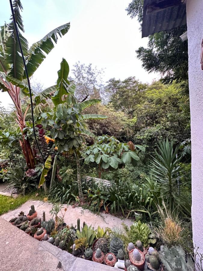 Cabana Campestre En Oaxaca Экстерьер фото